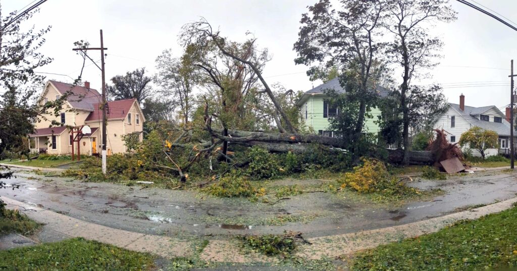 Photo of large tree collapsed in front of house with branches and power-lines knocked down around it.
