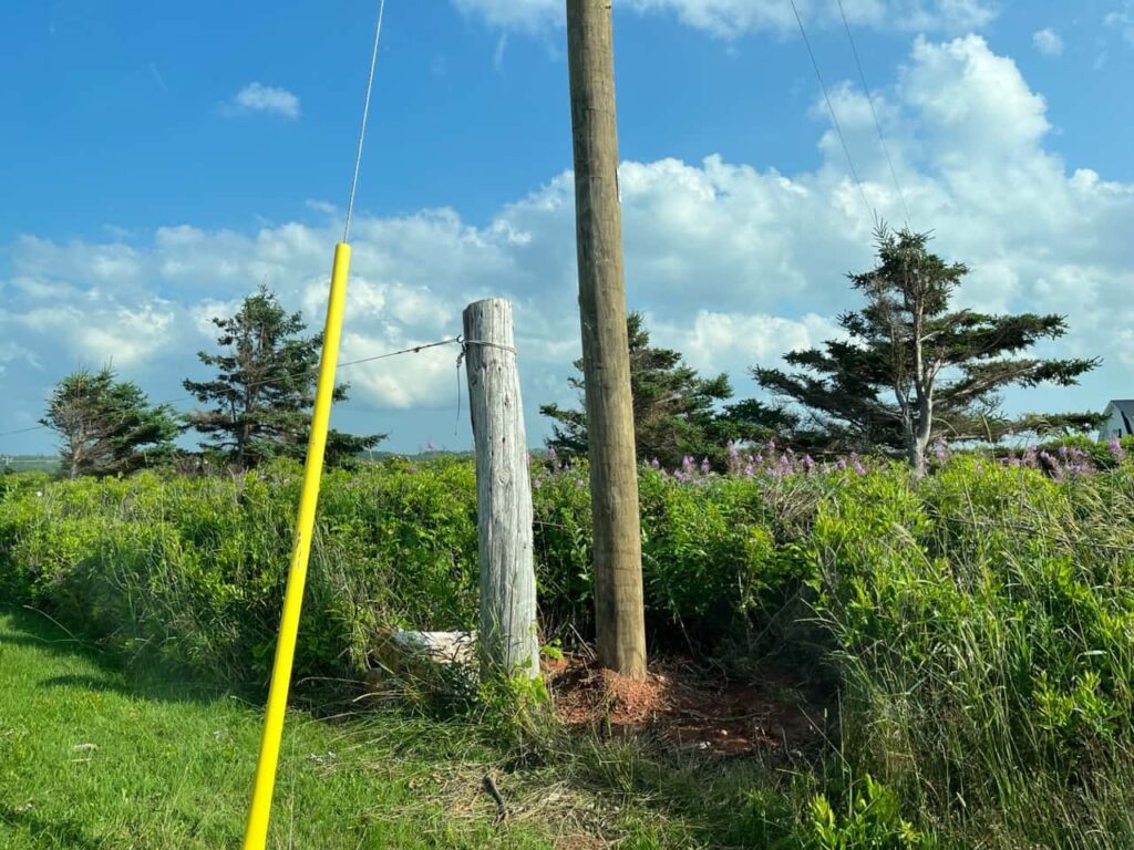 Photo of a new utility pole next to the bottom portion of an old utility pole with a clothesline attached, grass in foreground and trees in back.