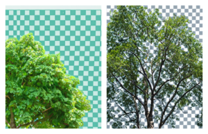 Two images of trees with an uneven checker-board pattern in the background.